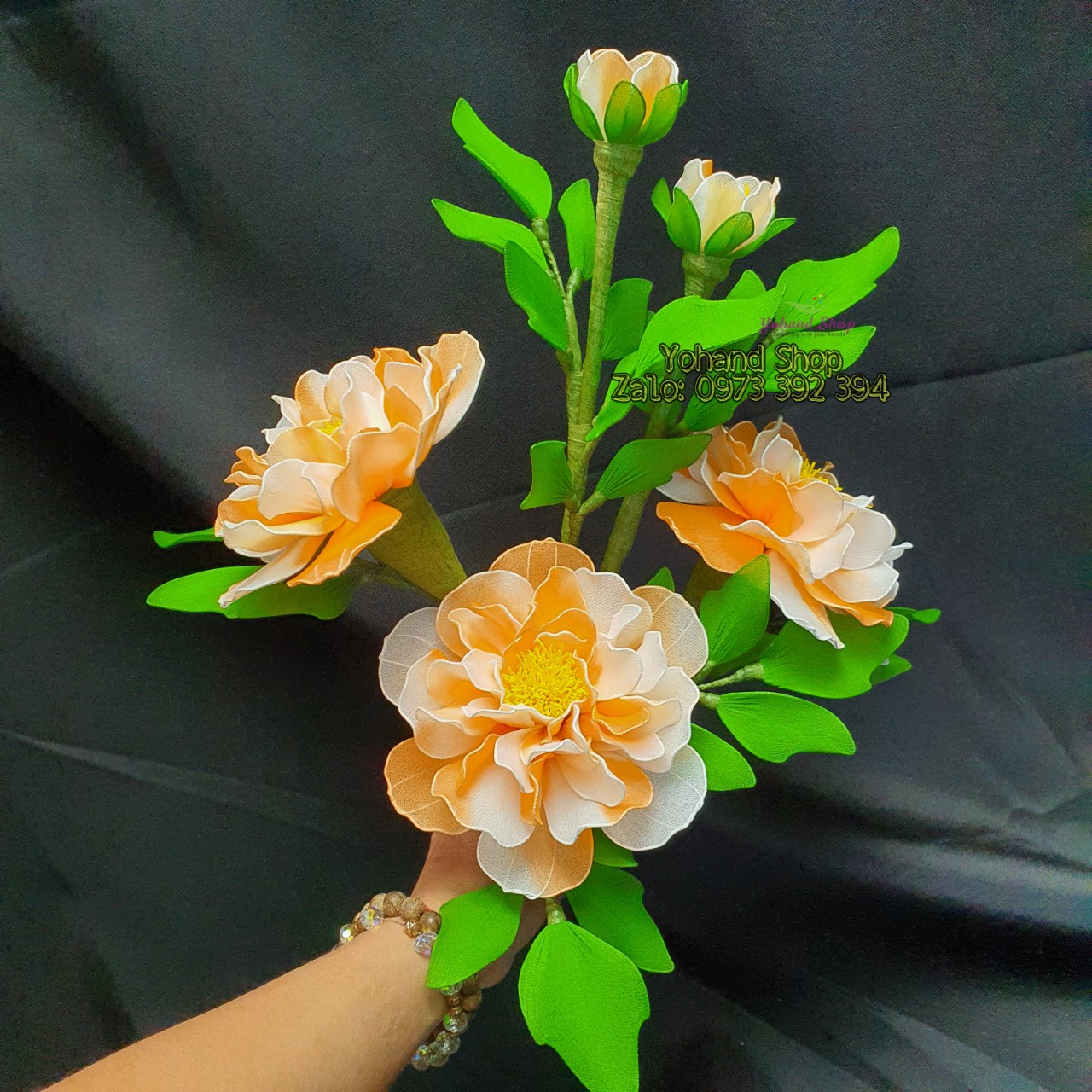 Nền Hoa Mẫu đơn đẹp Hoa Thực Vật Hoa Mẫu đơn Màu Hình Chụp Và Hình ảnh Để  Tải Về Miễn Phí - Pngtree